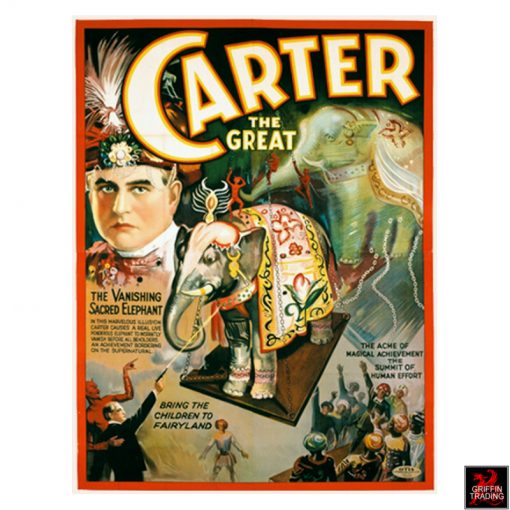 Carter The Great Vanishing Elephant