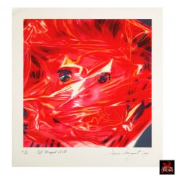 Gift Wrapped Doll a limited edition print by James Rosenquist